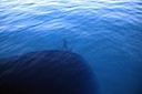 Our ship's shadow